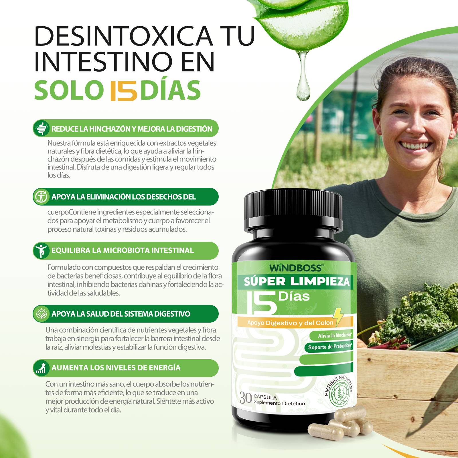 WindBoss 15-Day Gut & Weight Management Formula - Image 3