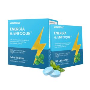 Windboss Mint Chewing Gum/Mints - L-Theanine, B12, B6