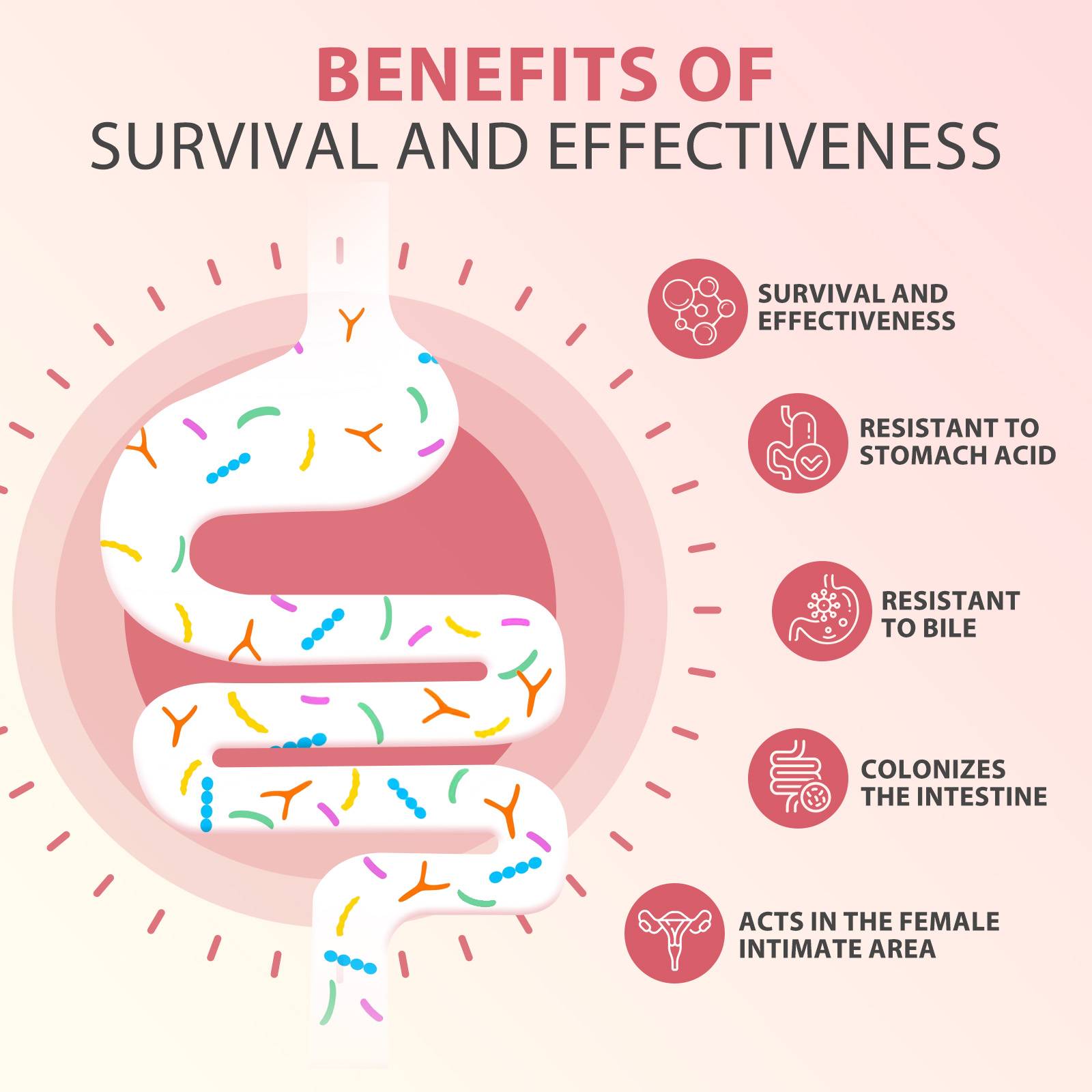 Women's Private Care Probiotic Capsules - Image 5